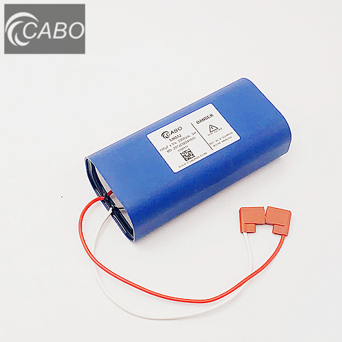 Defibrillator Capacitors For Medical Equipment/ 195μF 2300VDC CABO